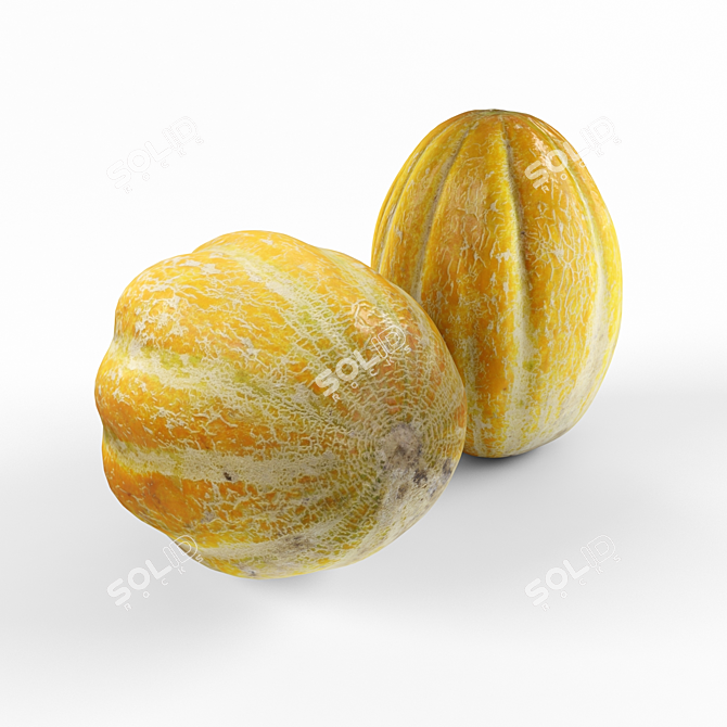 Organic Fresh Sweet Melon 3D model image 2