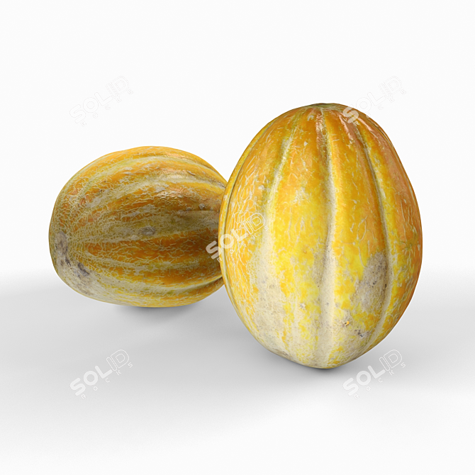 Organic Fresh Sweet Melon 3D model image 3