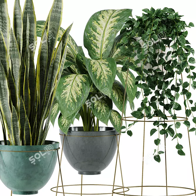  Premium Indoor Plants Collection 3D model image 3