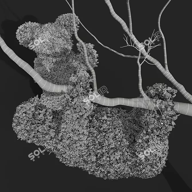 Nerve Plant 3D Models Bundle 3D model image 5