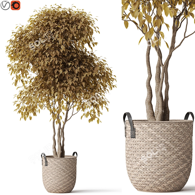 Botanical Bliss Collection: 449K+ Polygons 3D model image 1