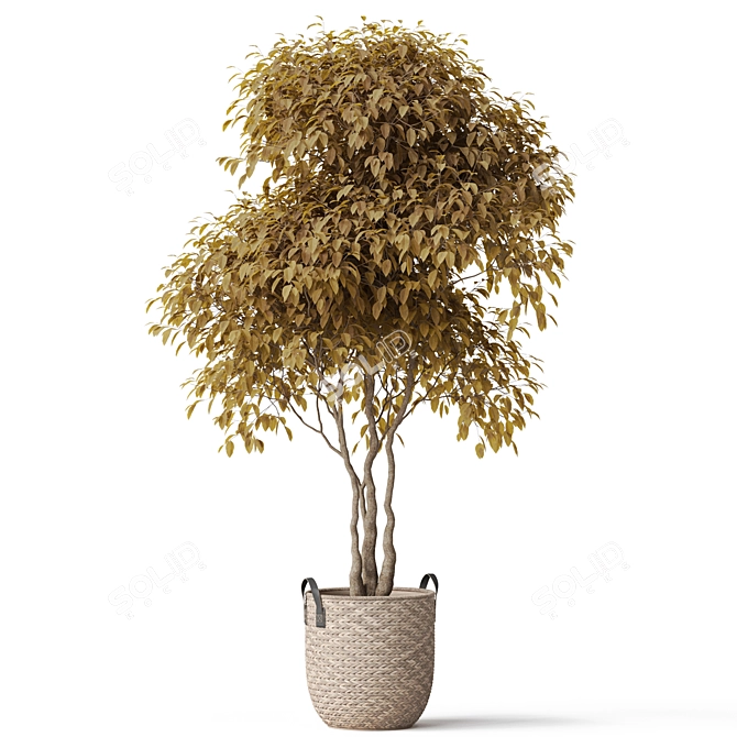 Botanical Bliss Collection: 449K+ Polygons 3D model image 2