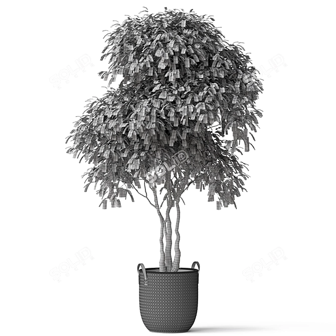 Botanical Bliss Collection: 449K+ Polygons 3D model image 4