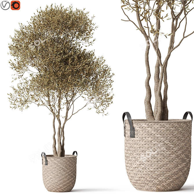 Botanical Beauty 787 Collection 3D model image 1