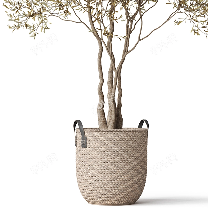 Botanical Beauty 787 Collection 3D model image 3