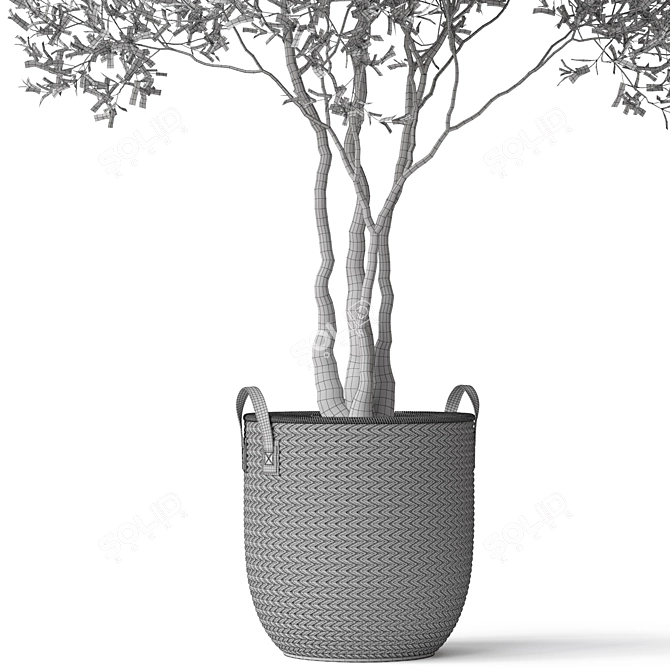 Botanical Beauty 787 Collection 3D model image 4