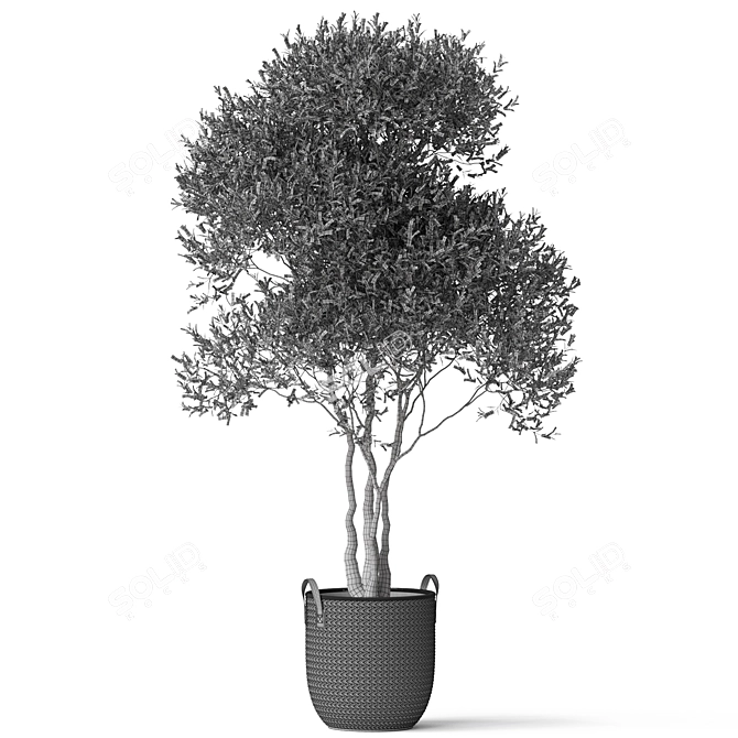 Botanical Beauty 787 Collection 3D model image 5