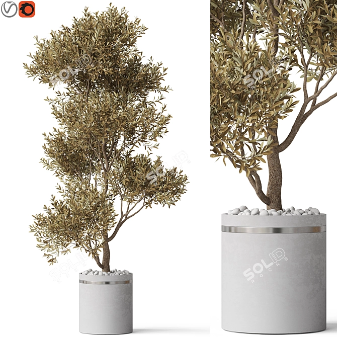 Green Oasis Plants Collection 3D model image 1