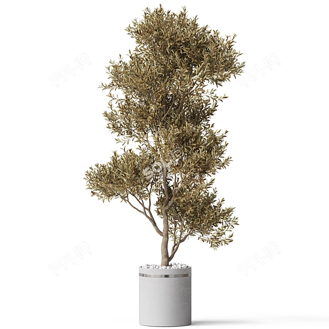 Green Oasis Plants Collection 3D model image 2