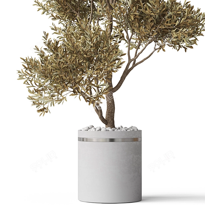 Green Oasis Plants Collection 3D model image 3