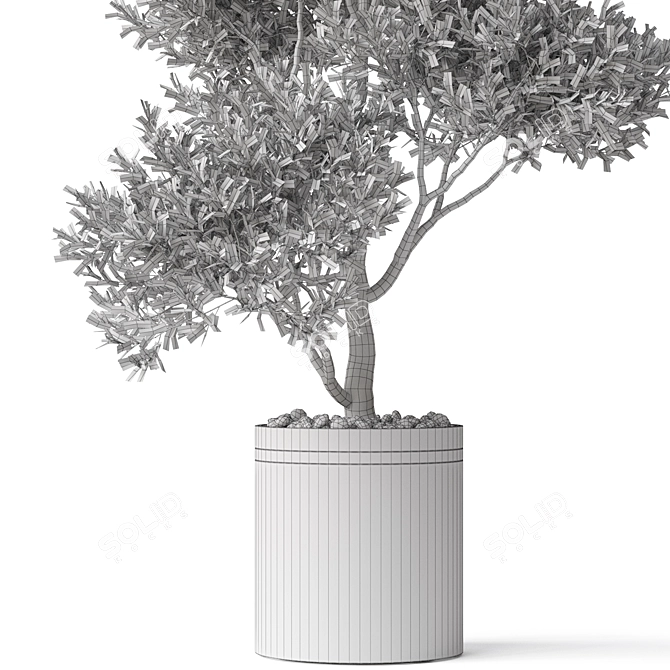 Green Oasis Plants Collection 3D model image 4