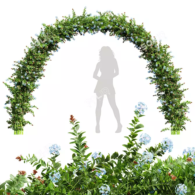 Nerve Plant 3D Model Bundle 3D model image 1