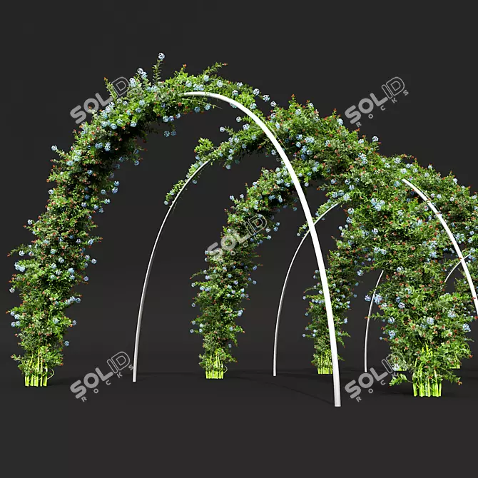 Nerve Plant 3D Model Bundle 3D model image 2