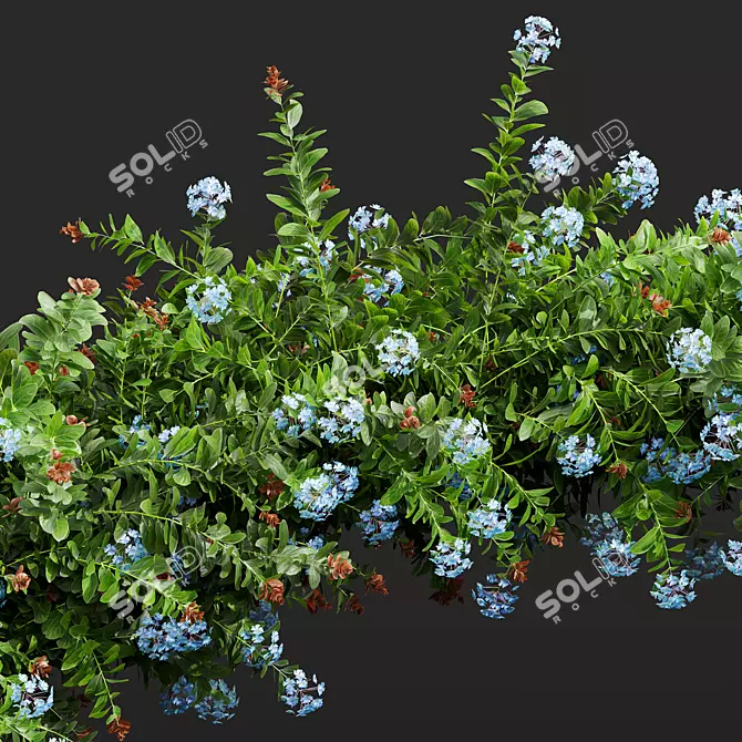 Nerve Plant 3D Model Bundle 3D model image 3
