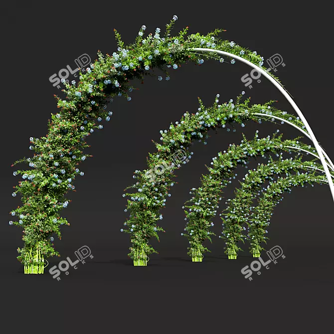 Nerve Plant 3D Model Bundle 3D model image 4
