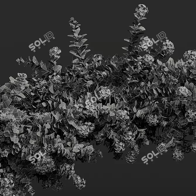 Nerve Plant 3D Model Bundle 3D model image 5