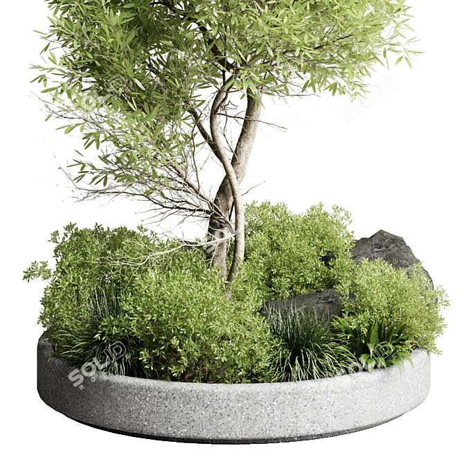 Garden Pot Plant Collection Outdoor 3D model image 2