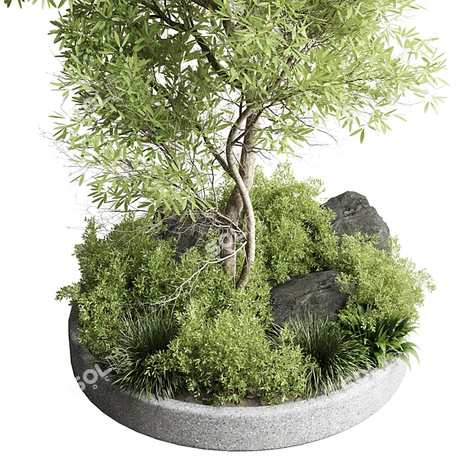 Garden Pot Plant Collection Outdoor 3D model image 6