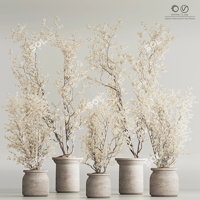 Modern Dry Indoor Plant Set 3D model image 1