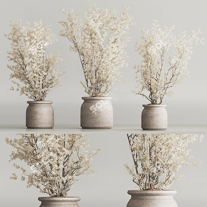 Modern Dry Indoor Plant Set 3D model image 3