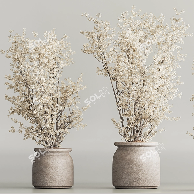 Modern Dry Indoor Plant Set 3D model image 4