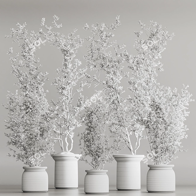 Modern Dry Indoor Plant Set 3D model image 7