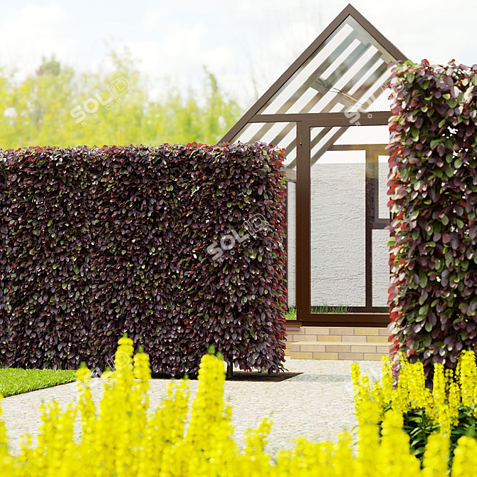  Beech Hedge Collection - Landscaping 3D model image 5