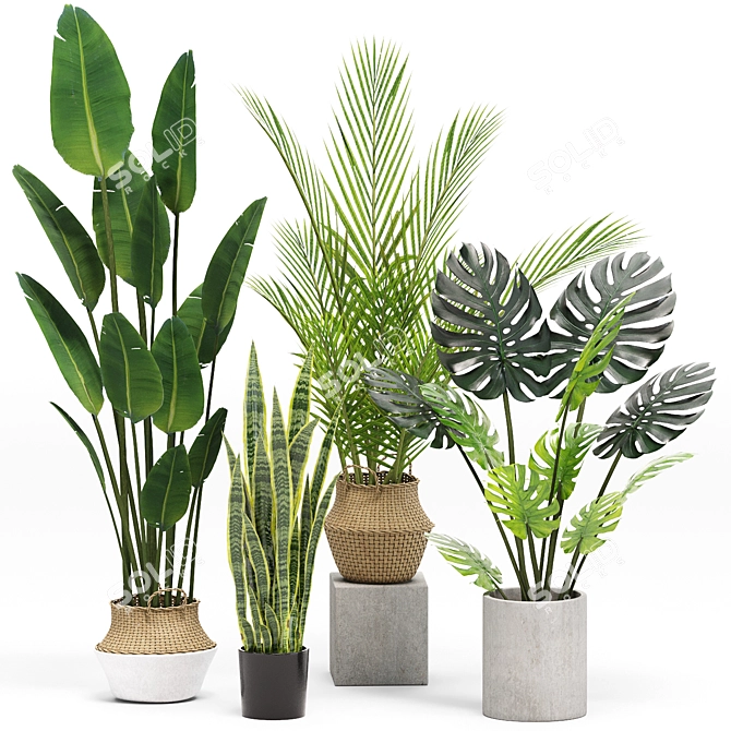 Stylish Indoor Plants Set 03 3D model image 1