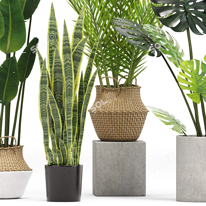 Stylish Indoor Plants Set 03 3D model image 2