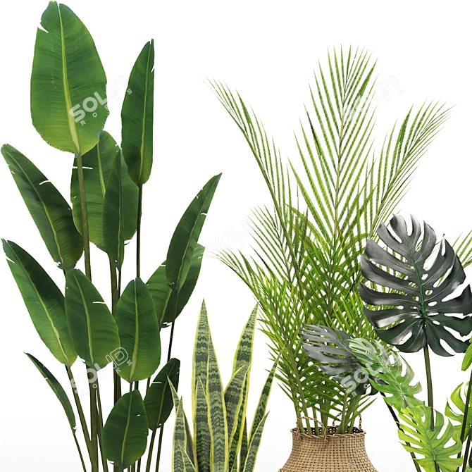 Stylish Indoor Plants Set 03 3D model image 4