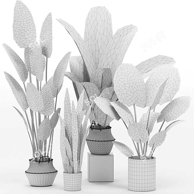 Stylish Indoor Plants Set 03 3D model image 6