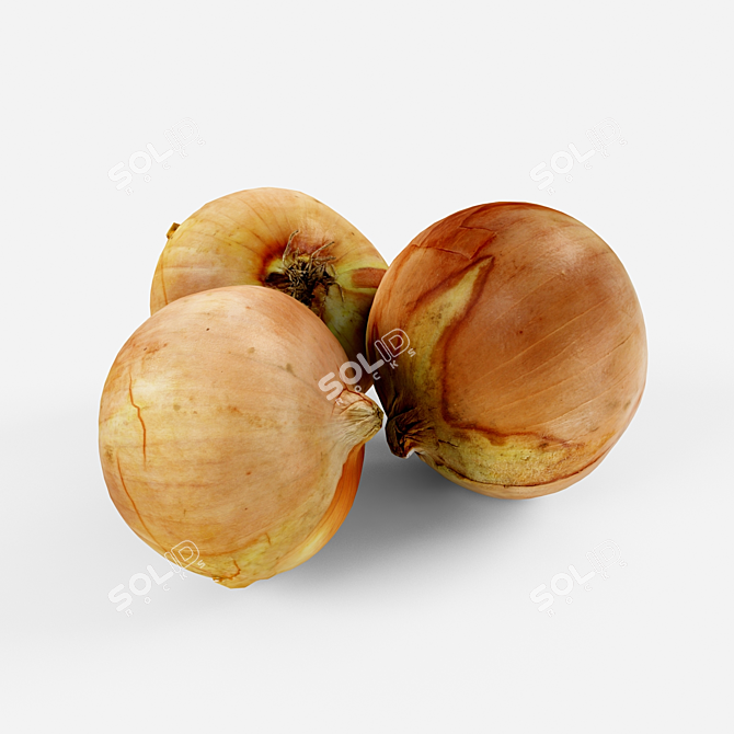 Sweet Onion Bulbs 3D model image 3