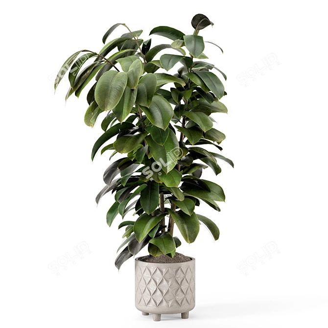 Modern Indoor Plant in Large Bau Pot 3D model image 4