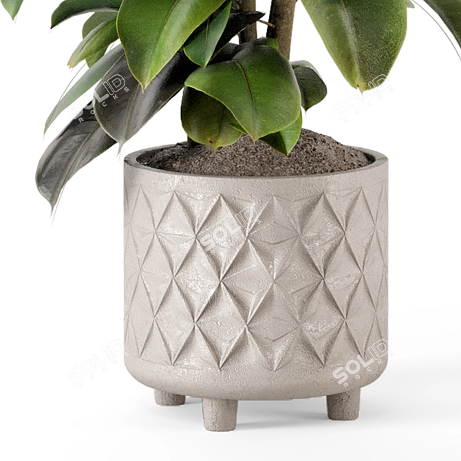 Modern Indoor Plant in Large Bau Pot 3D model image 5