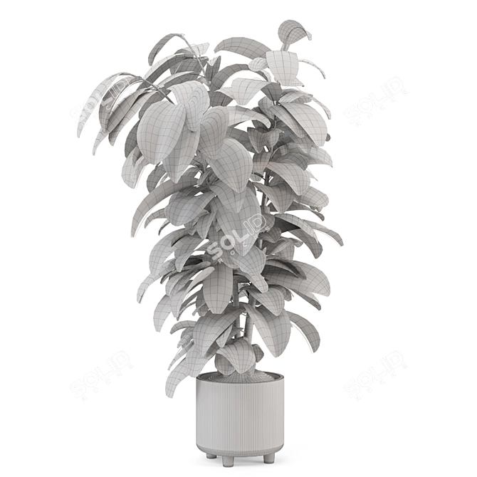 Modern Indoor Plant in Large Bau Pot 3D model image 6