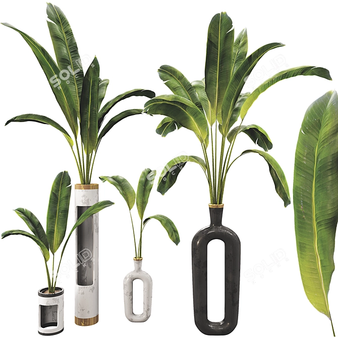 Banana Leaf Plant Vase Set 3D model image 1