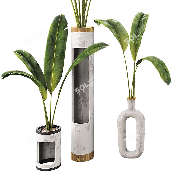 Banana Leaf Plant Vase Set 3D model image 2