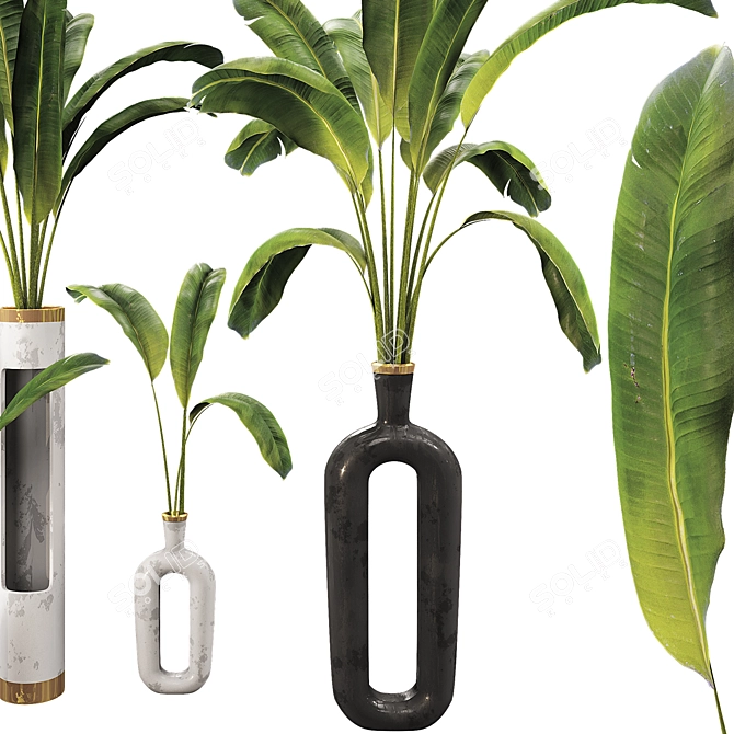 Banana Leaf Plant Vase Set 3D model image 5