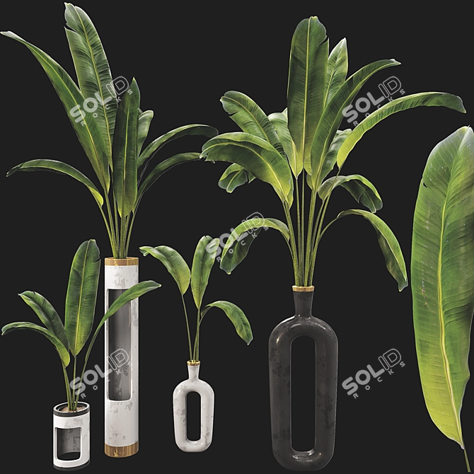Banana Leaf Plant Vase Set 3D model image 6