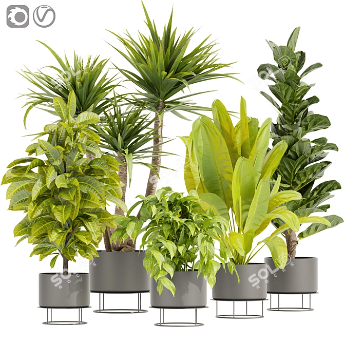 Premium Indoor Plant Collection 3D 3D model image 1