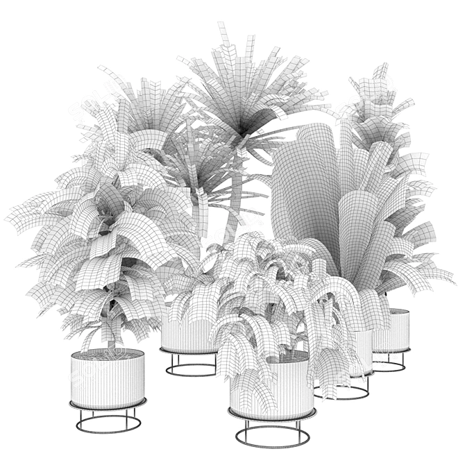 Premium Indoor Plant Collection 3D 3D model image 6