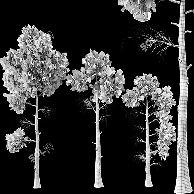 Jeffrey Pine Tree Variety Pack 3D model image 6