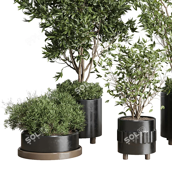 Concrete Vase Indoor Plant Set 3D model image 5