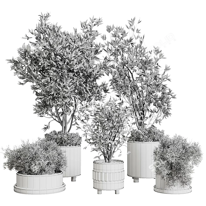 Concrete Vase Indoor Plant Set 3D model image 7