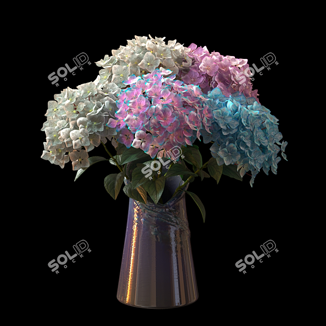 Colorful Hydrangea Macrophylla - Decorative Garden Plant 3D model image 1