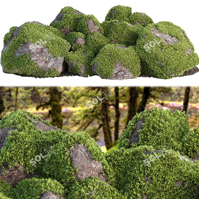 Mossy Rock Scatter Collection 3D 3D model image 1