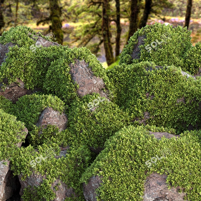 Mossy Rock Scatter Collection 3D 3D model image 2