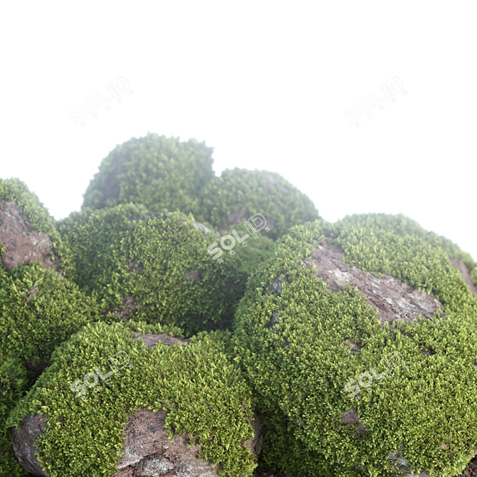 Mossy Rock Scatter Collection 3D 3D model image 4