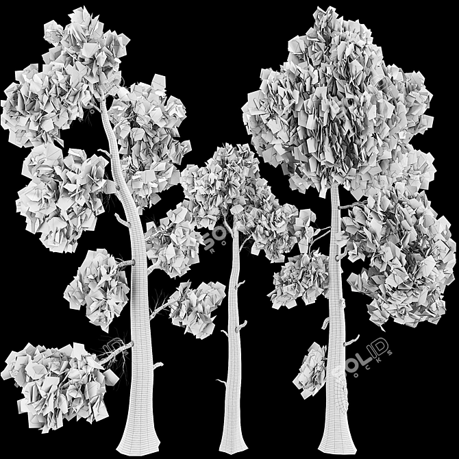 Jeffrey Pine Tree 3D Collection 3D model image 4