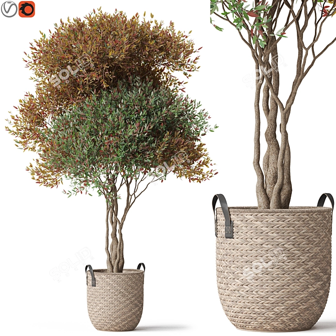 Botanical Ensemble 794 3D model image 1